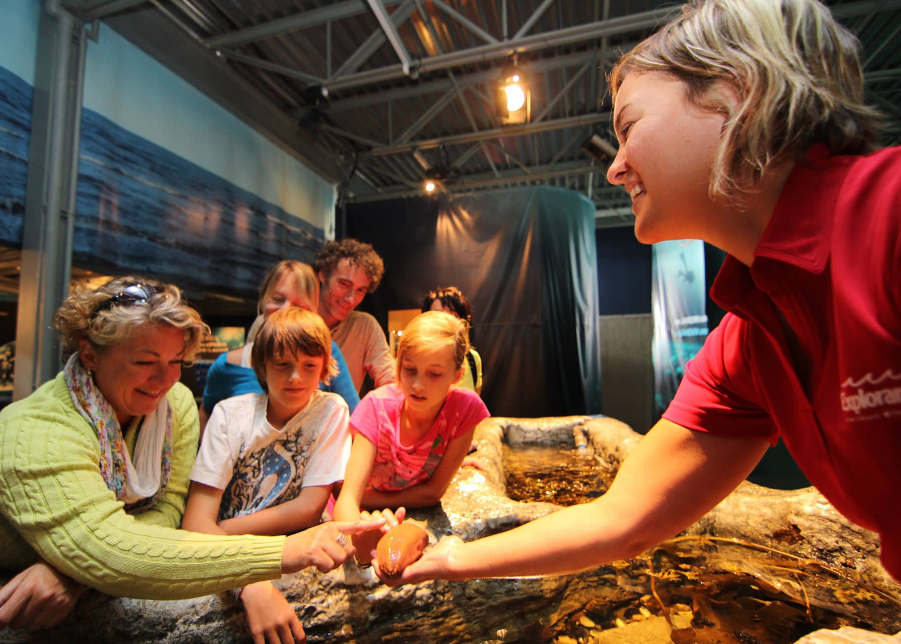 Rencontrer la vraie nature de la Gaspésie - Exploramer - Bassins tactiles - Photo Eric Marchand