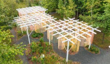 Rencontrer la vraie nature de la Gaspésie - Maillage de friche - Photo JC Lemay