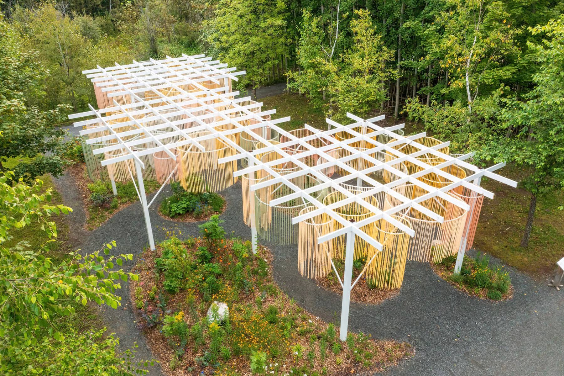 Rencontrer la vraie nature de la Gaspésie - Maillage de friche - Photo JC Lemay