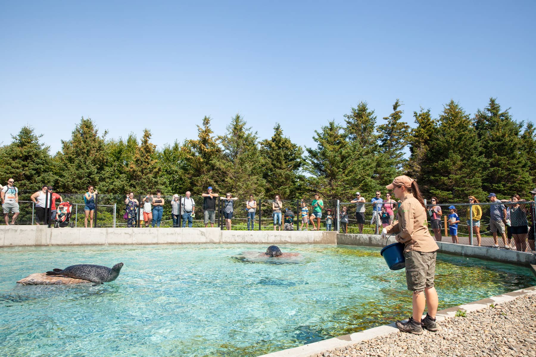 Rencontrer la vraie nature de la Gaspésie - Bioparc - Photo Roger St Laurent