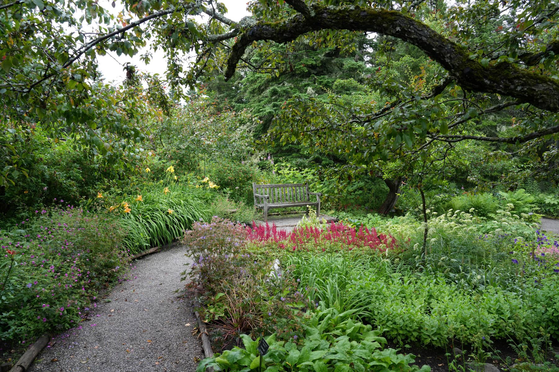 Rencontrer la vraie nature de la Gaspésie - Jardins de Métis - Photo Kassandra Reynolds