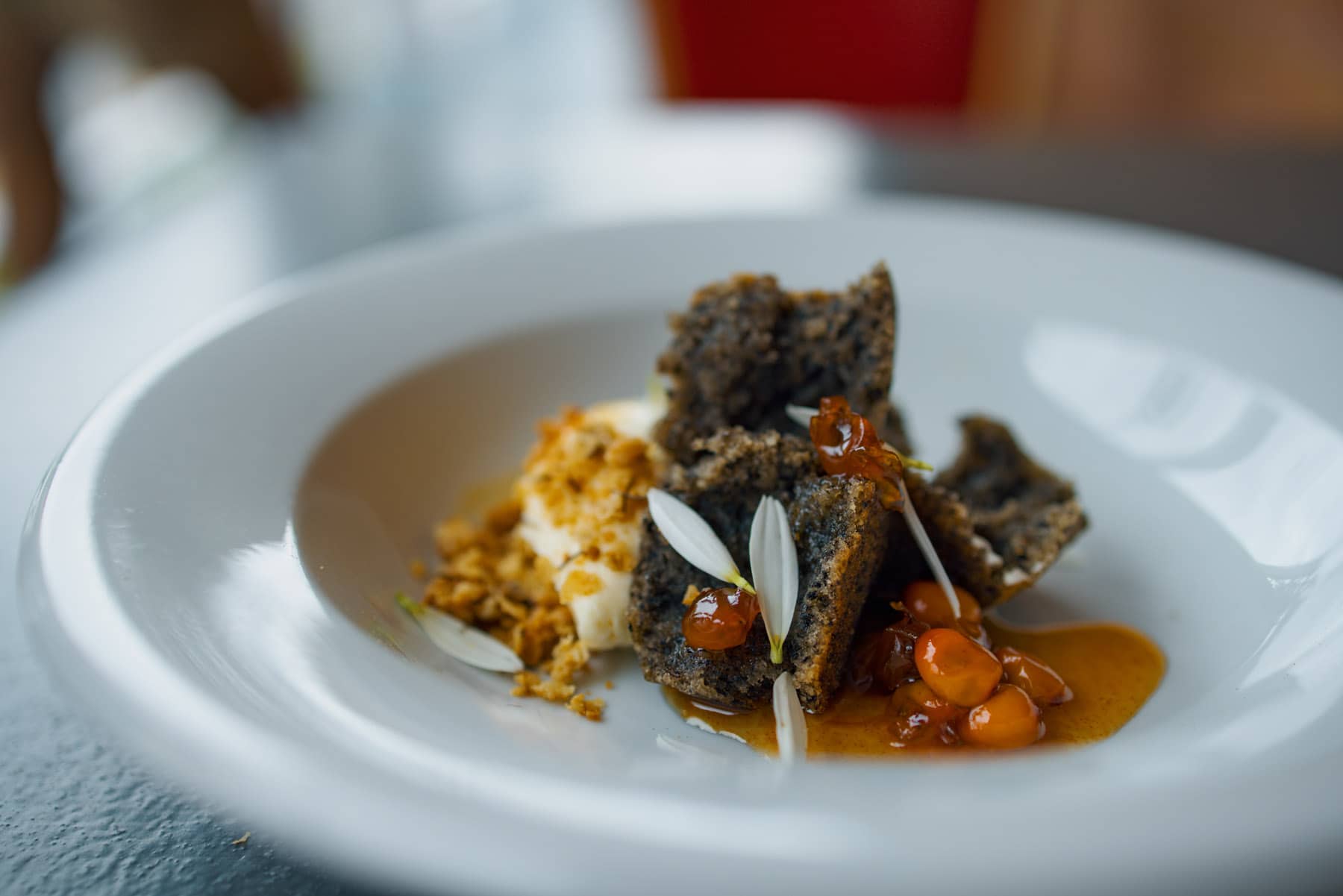 Voyage au Québec Authentique (Lanaudière-Mauricie) - Myco - Photo David Leblanc