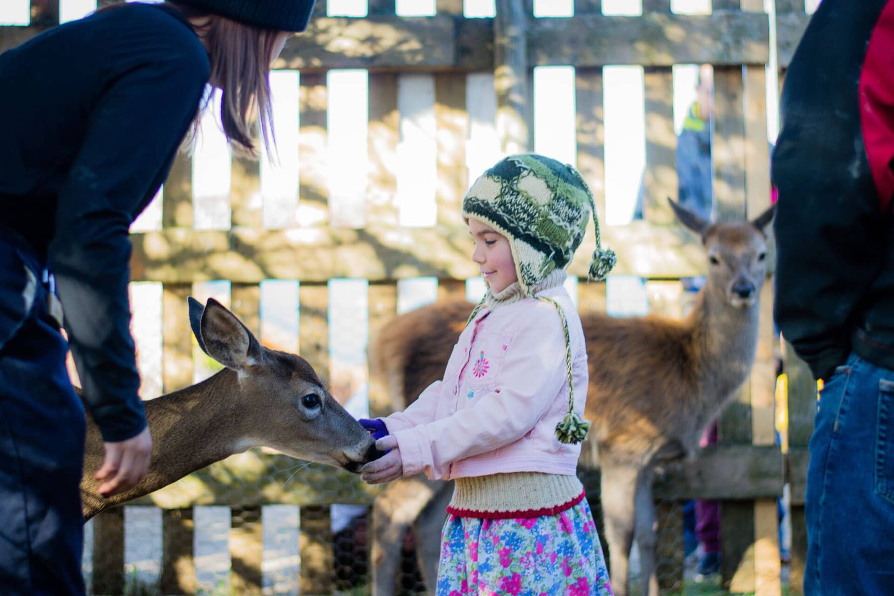 Centre de vacances Ferme 5 étoiles