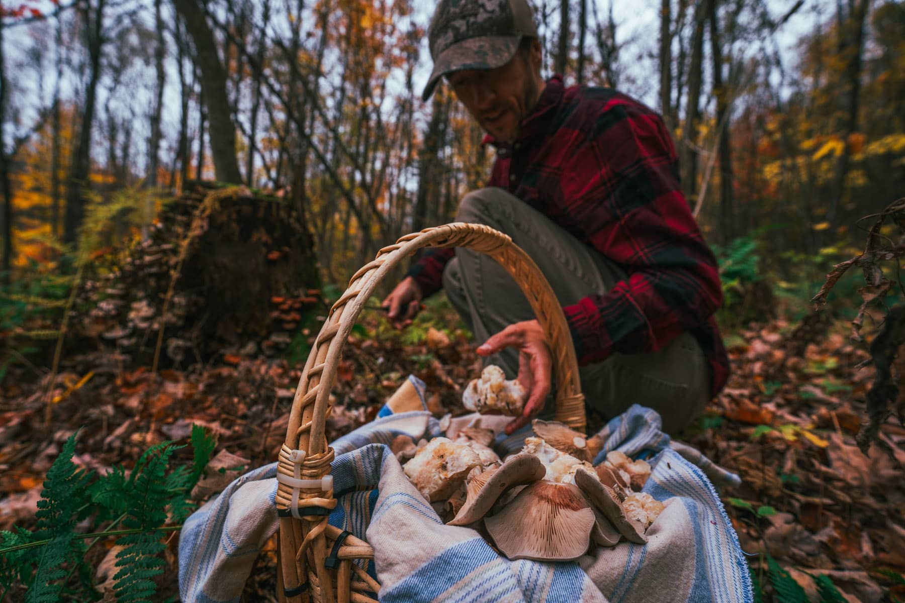 Voyage au Québec Authentique (Lanaudière-Mauricie) - Myco - Photo Raph Sevigny