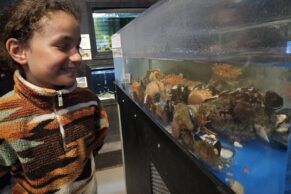 Aquarium - Musée du Fjord