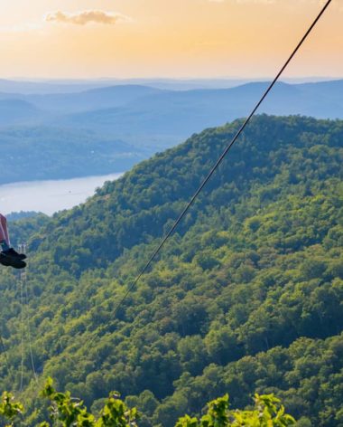 Ziptrek Ecotours : Tyrolienne Tandem