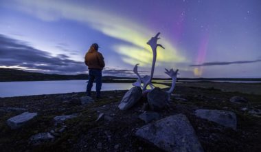 NUNAVIK - Panache de caribou sur fond d’aurores boréales - Nunawild © Jean-Simon Bégin