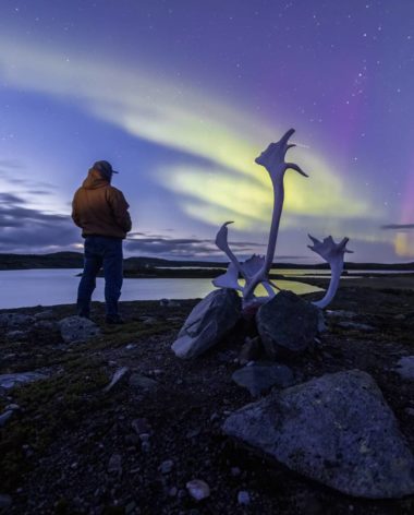 NUNAVIK - Panache de caribou sur fond d’aurores boréales - Nunawild © Jean-Simon Bégin