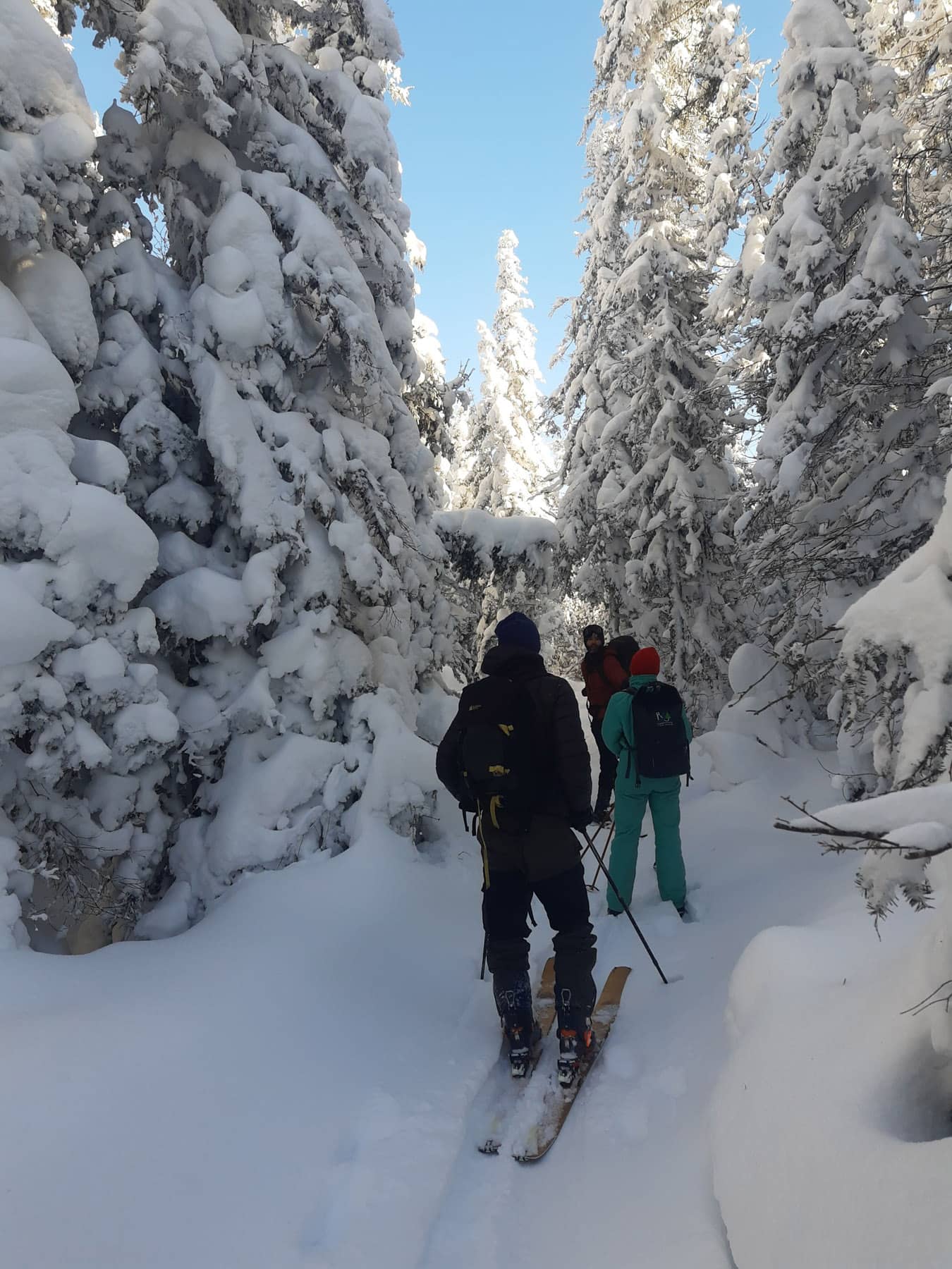 Aventure Rose des vents - Saguenay-Lac-Saint-Jean