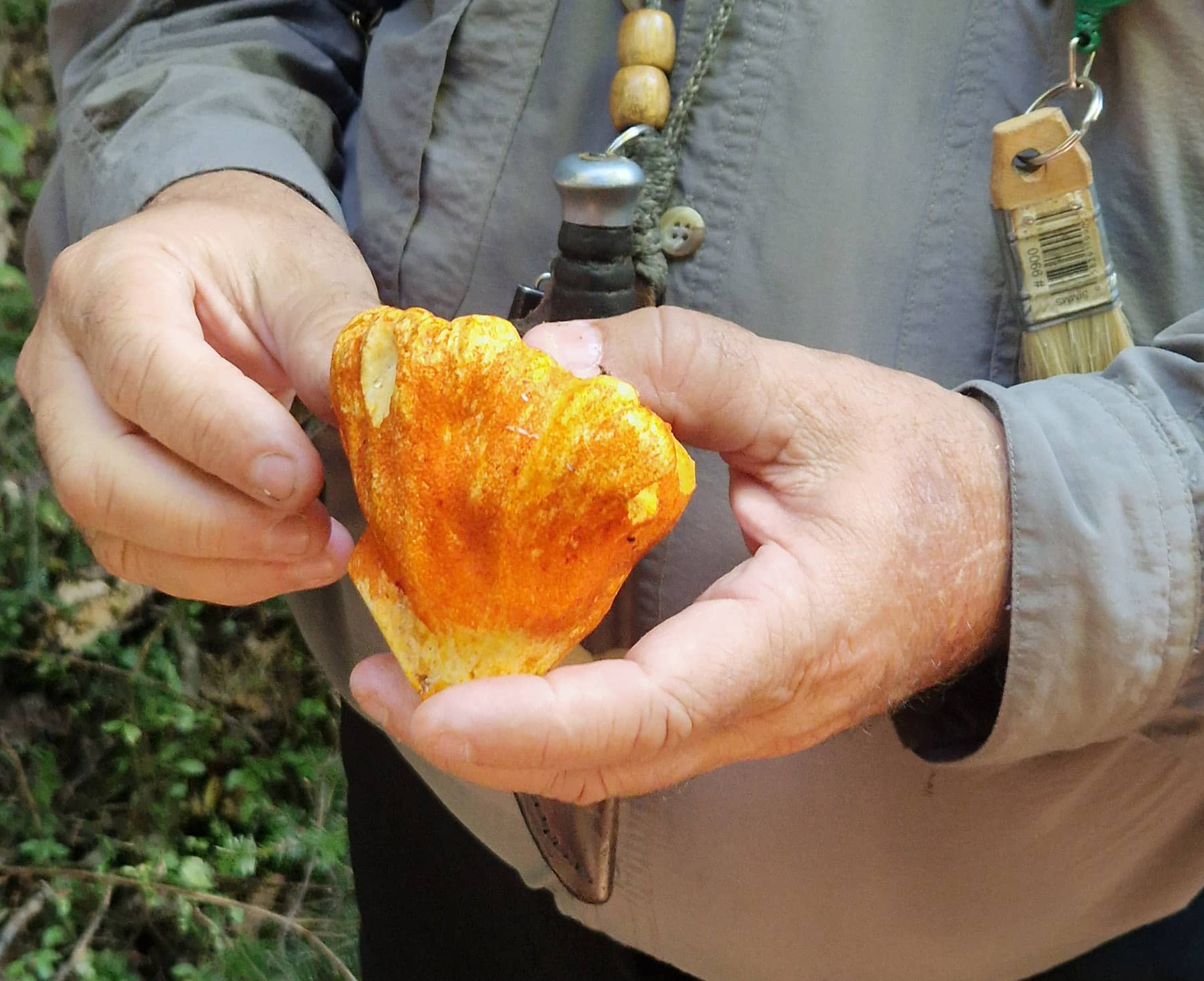 Marcheur des Bois - Lanaudière - Expérience gourmande au Québec en automne - Photo David Lang