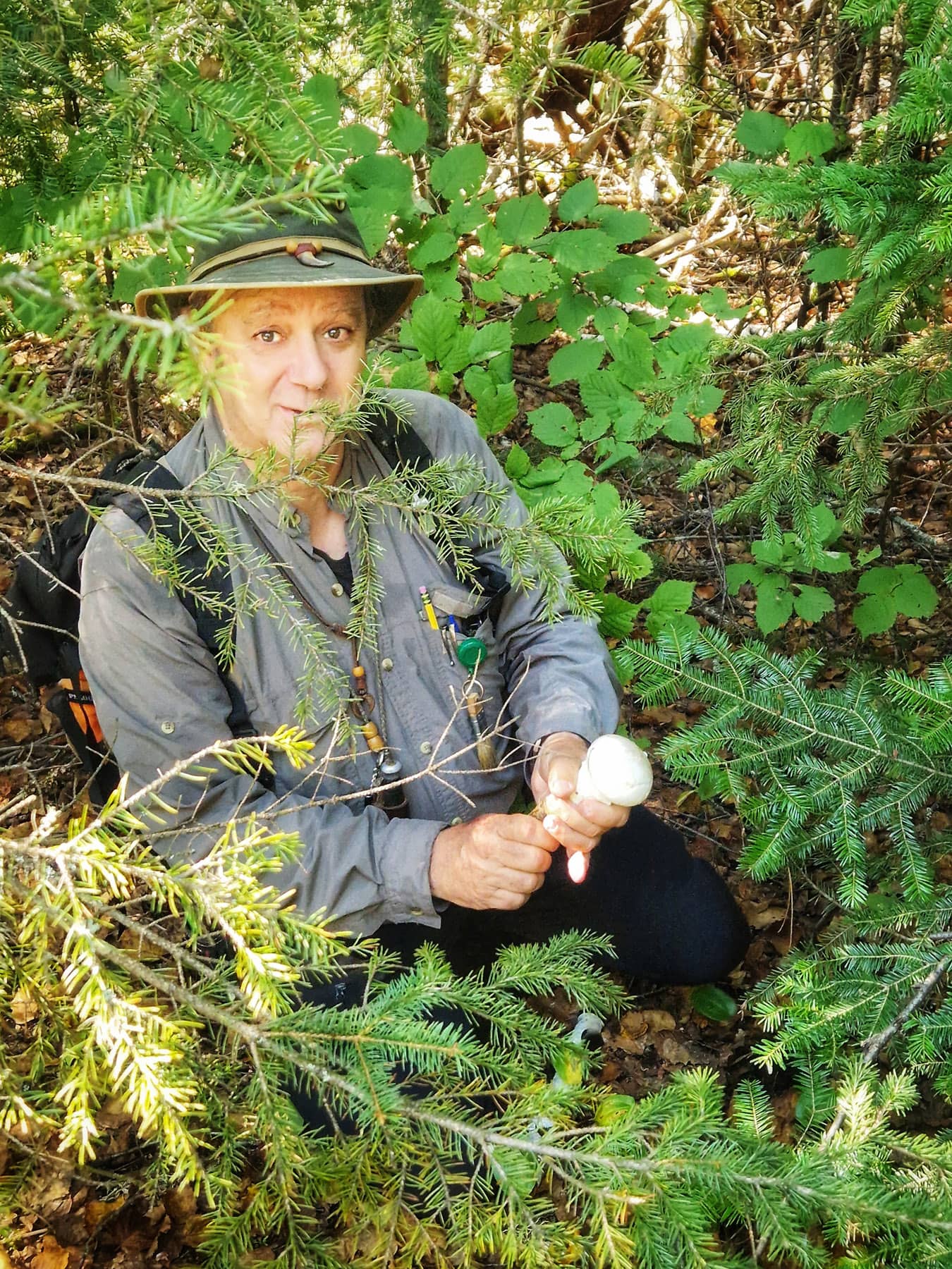 Marcheur des Bois - Lanaudière - Expérience gourmande au Québec en automne