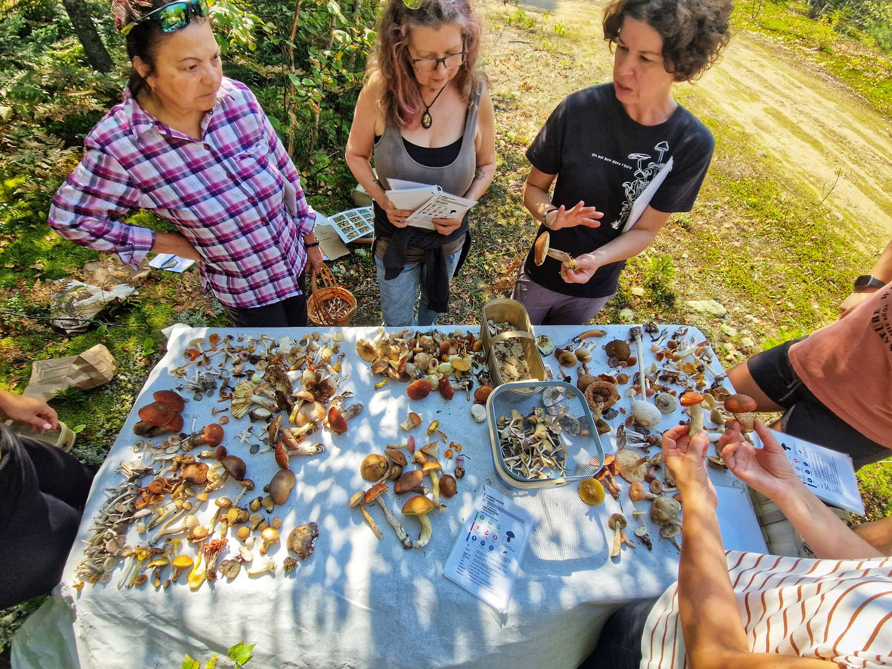Frédélys Mauricie - Expérience épicurieuse à. vivre au,Québec en automne