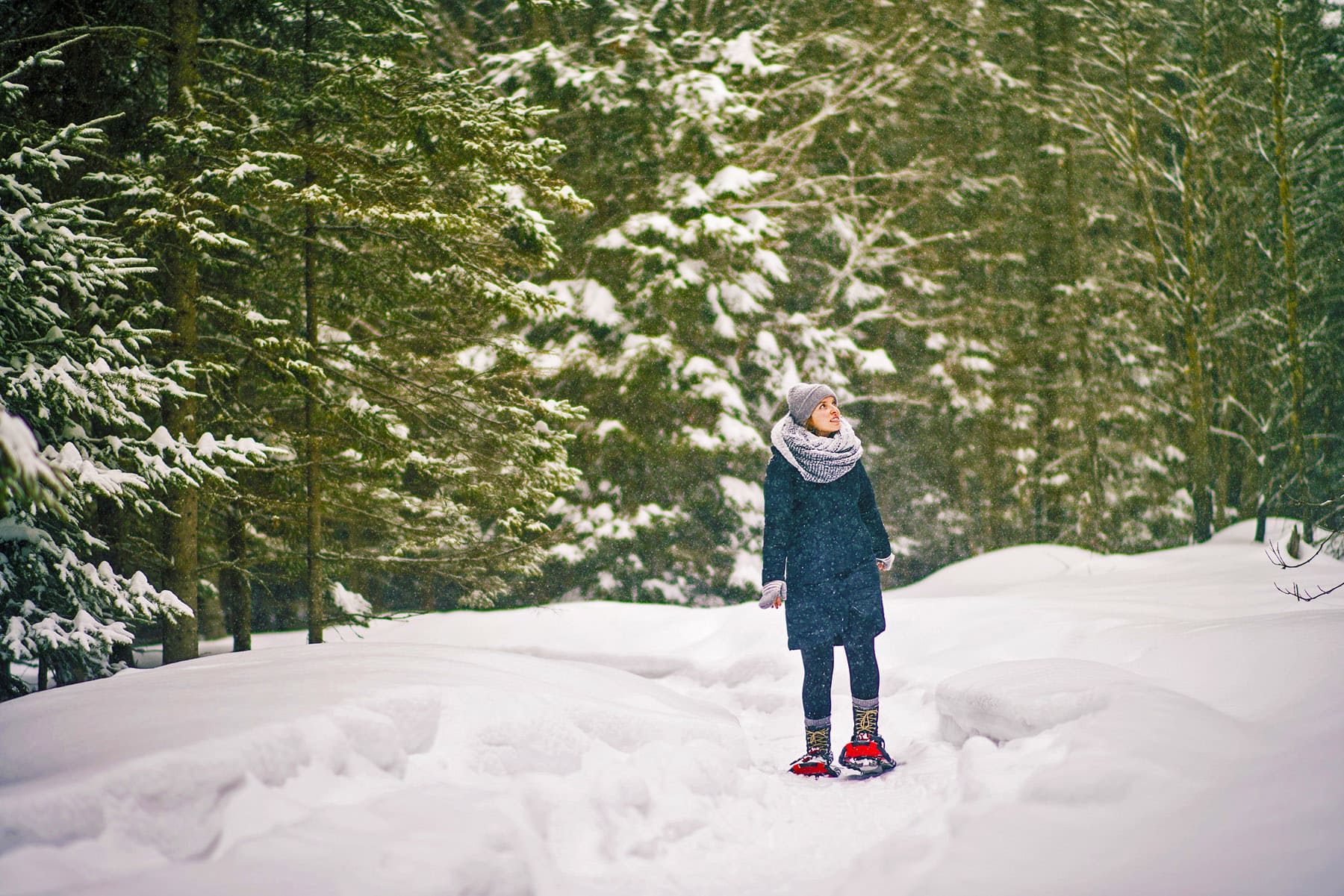 Au Chalet en Bois Rond