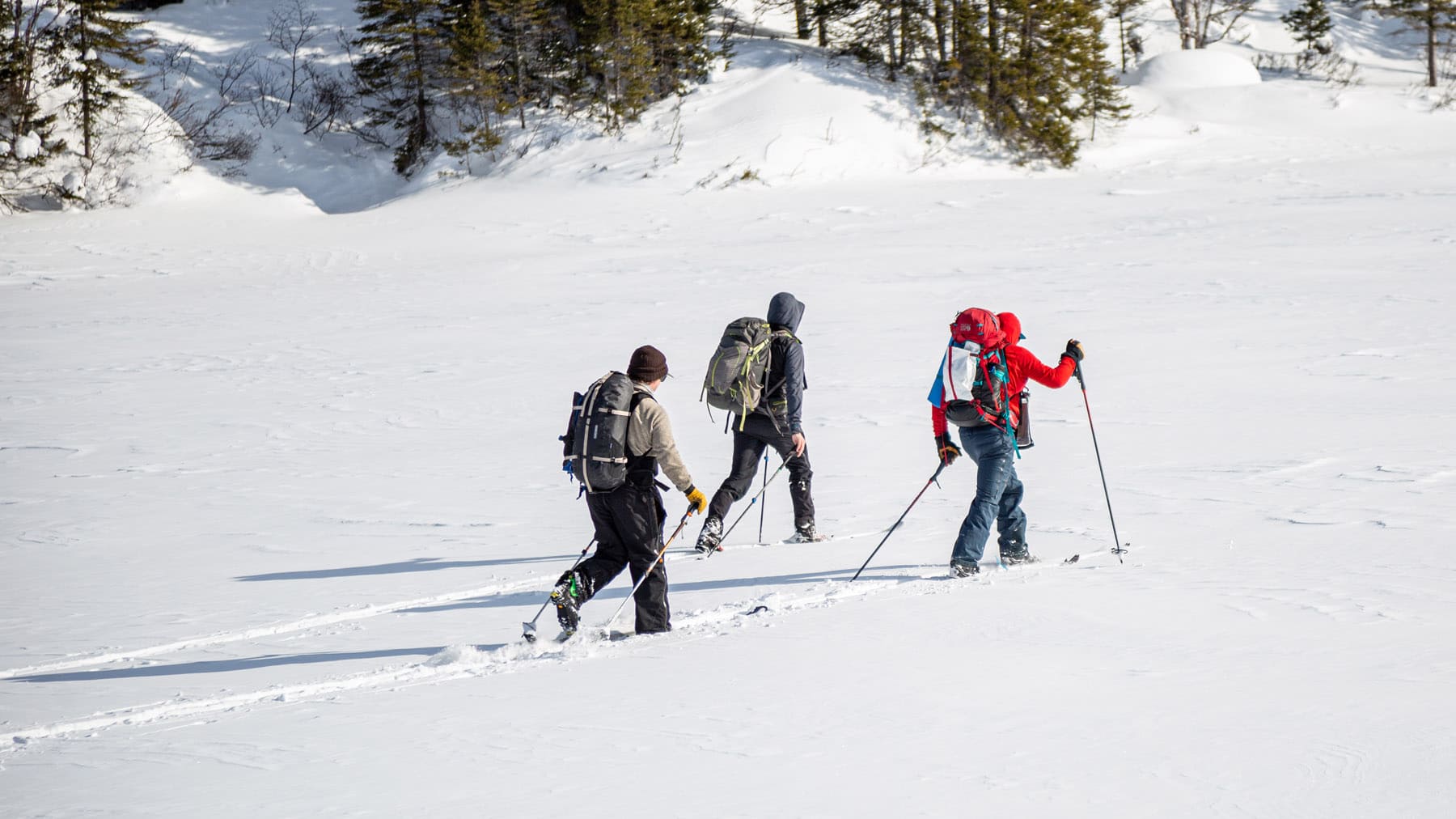 Fjord en Kayak - Ski hors piste sur le fjord