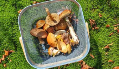 Frédélys Mauricie - Expérience épicurieuse à. vivre au,Québec en automne - Photo David Lang