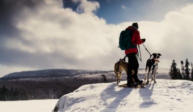 Montagne du Diable - Ferme Neuve - Raquette chien admis - Photo Nicolas Aubry