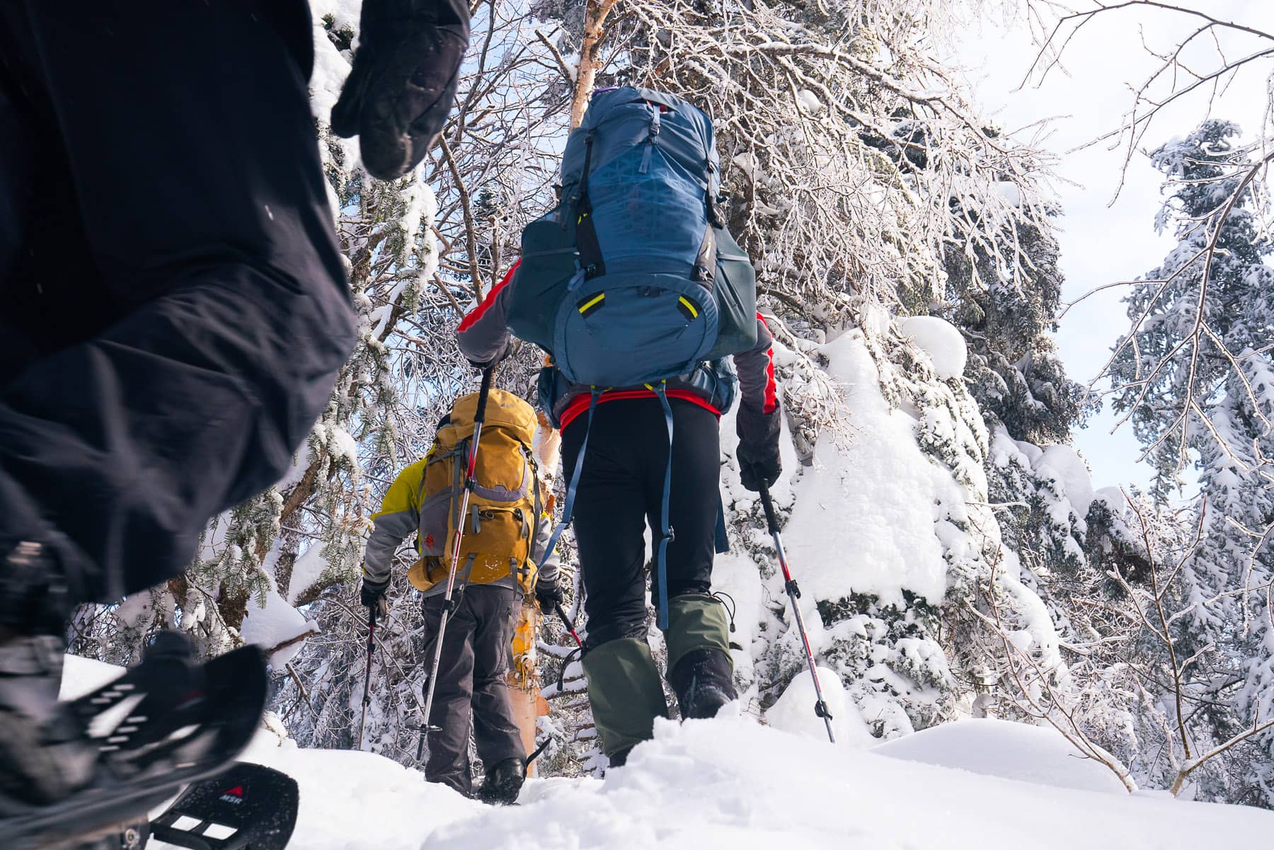 Montagne du Diable - Ferme Neuve - Raquette - Photo Nicolas Aubry