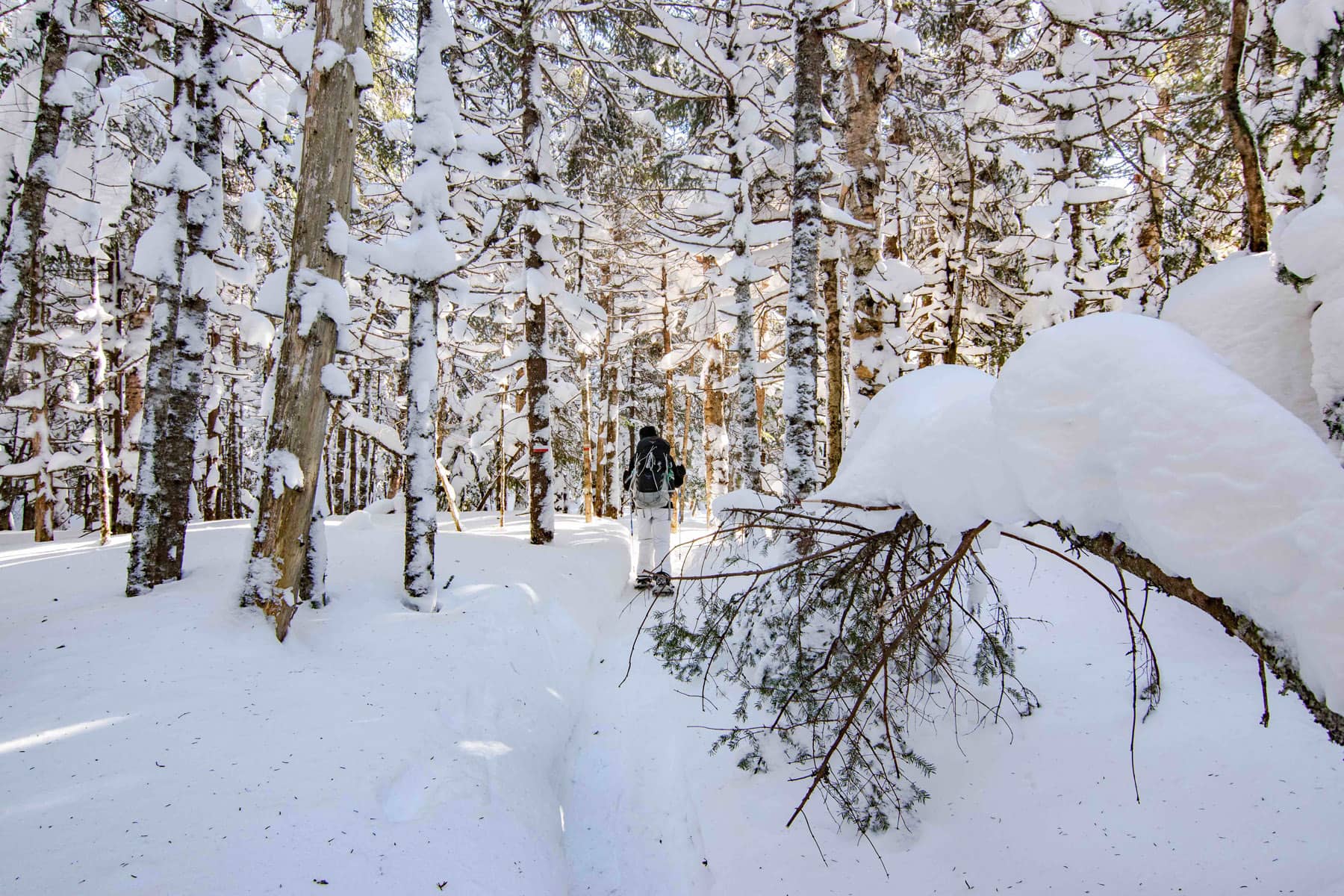 Vallée Bras du Nord - Randonnée hiver Québec - Photo Annie Tremblay