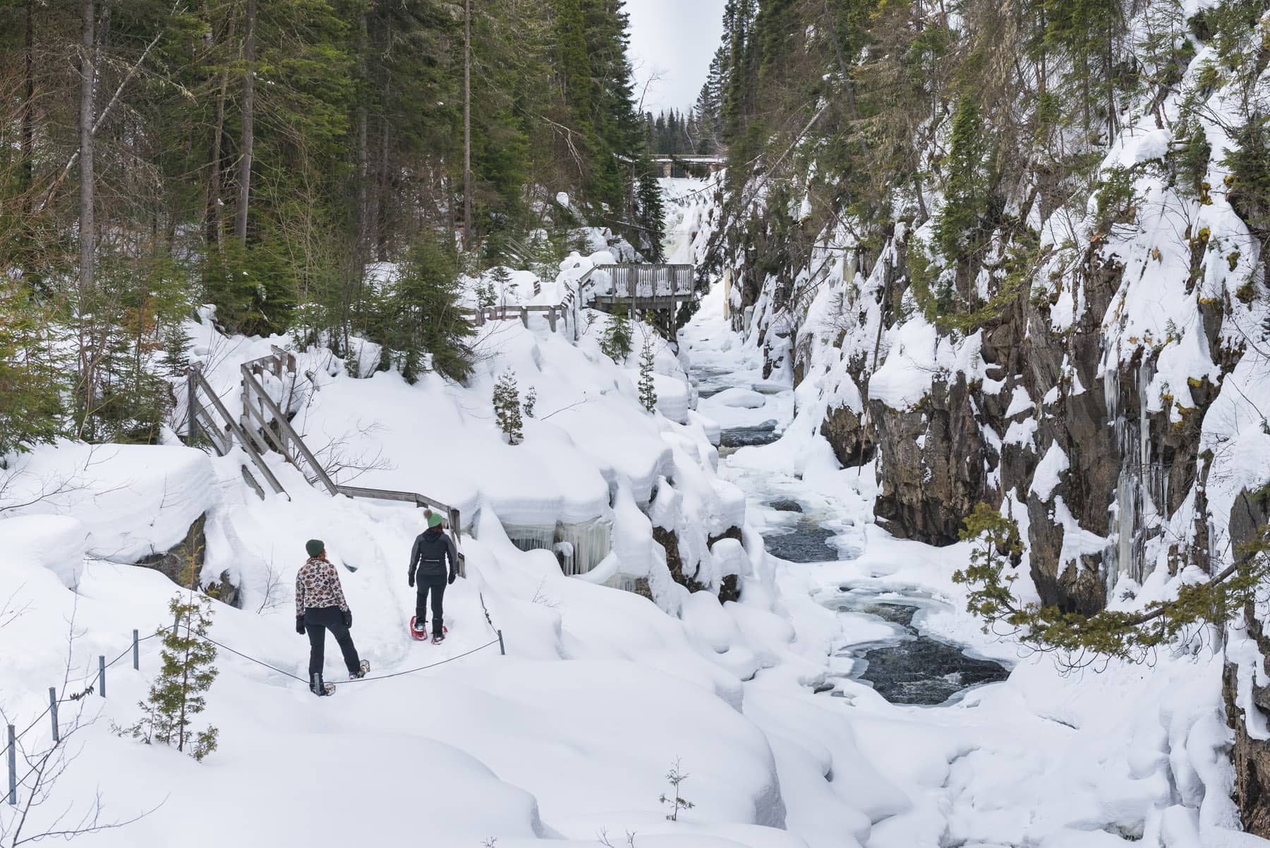 Contact Nature - Raquette