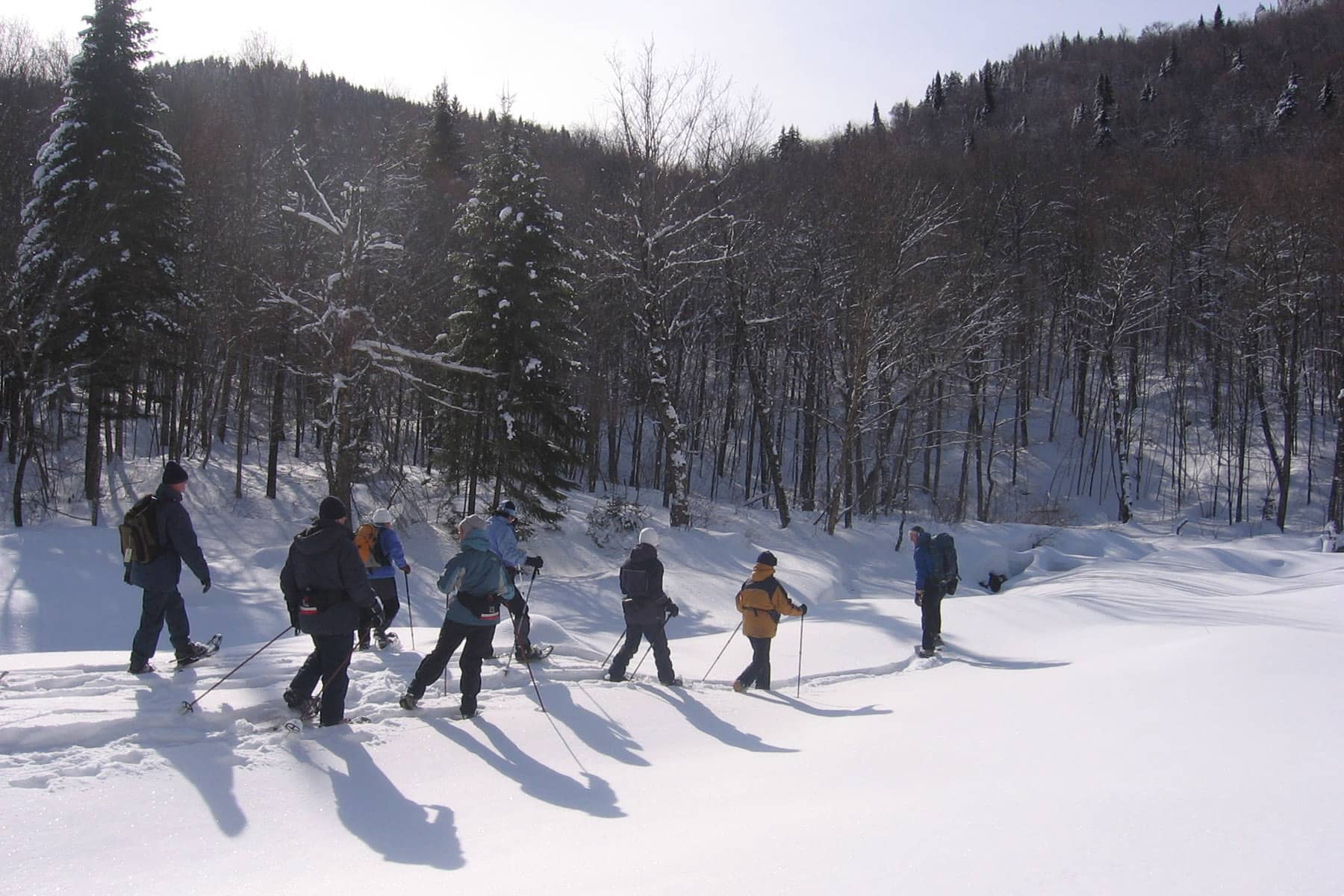 Vallée Bras du Nord - Raquette