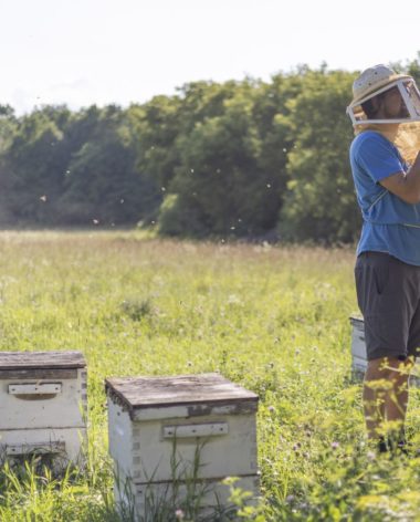Ferme Les Petites Écores