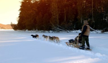 Traineau à chiens - Lanaudière-Mauricie