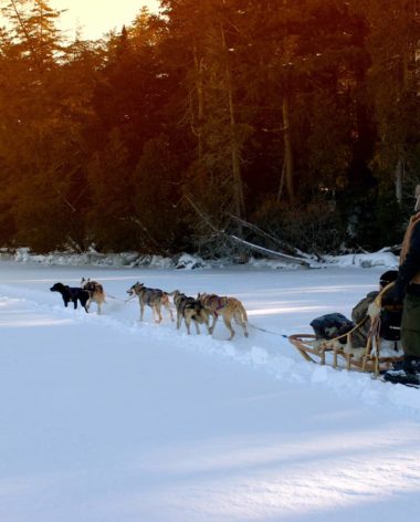 Traineau à chiens - Lanaudière-Mauricie