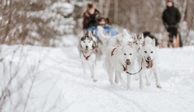 Kinadapt (Bonjour Nature - Lanaudière, Québec)