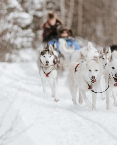 Kinadapt (Bonjour Nature - Lanaudière, Québec)