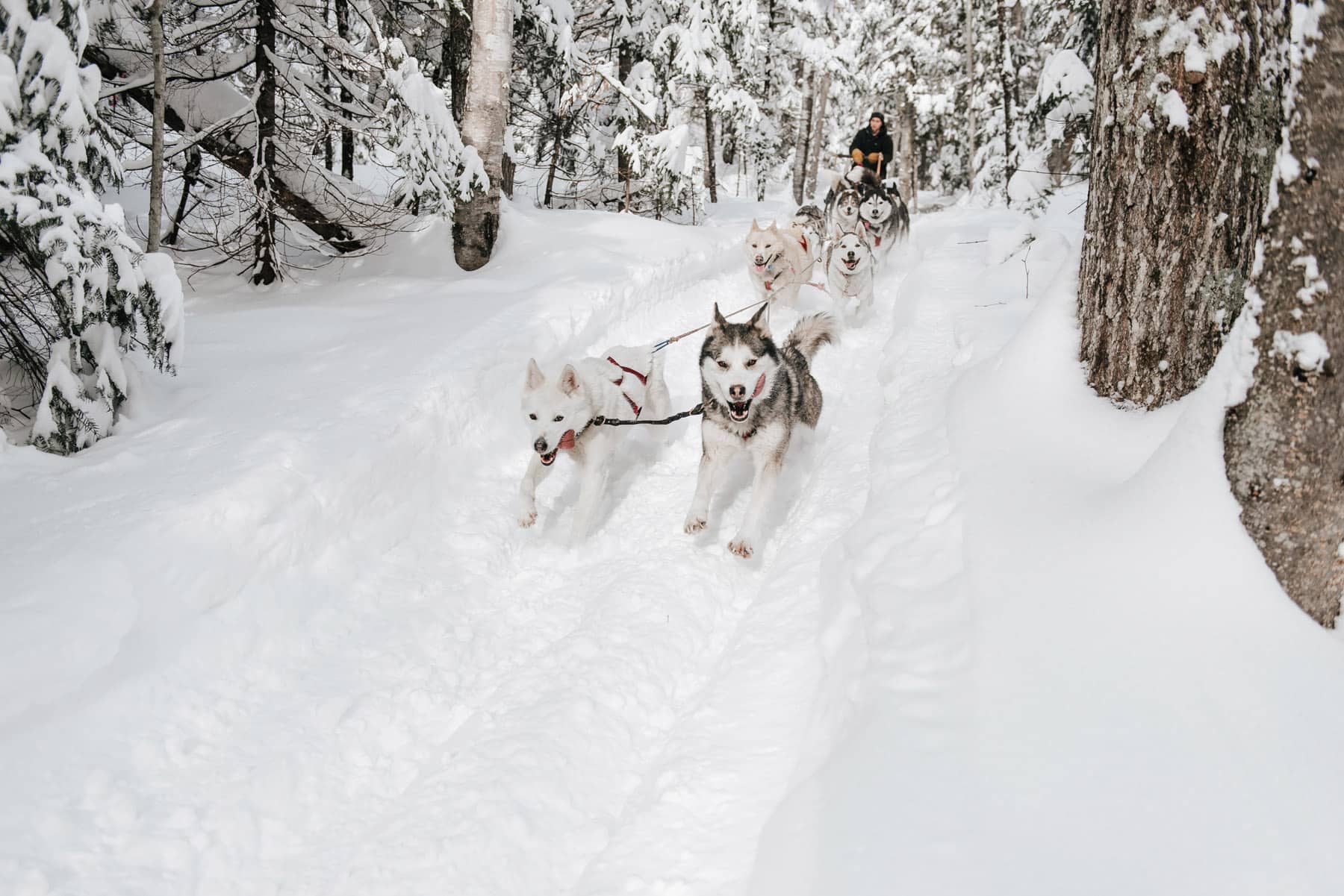 Kinadapt (Bonjour Nature - Lanaudière, Québec)