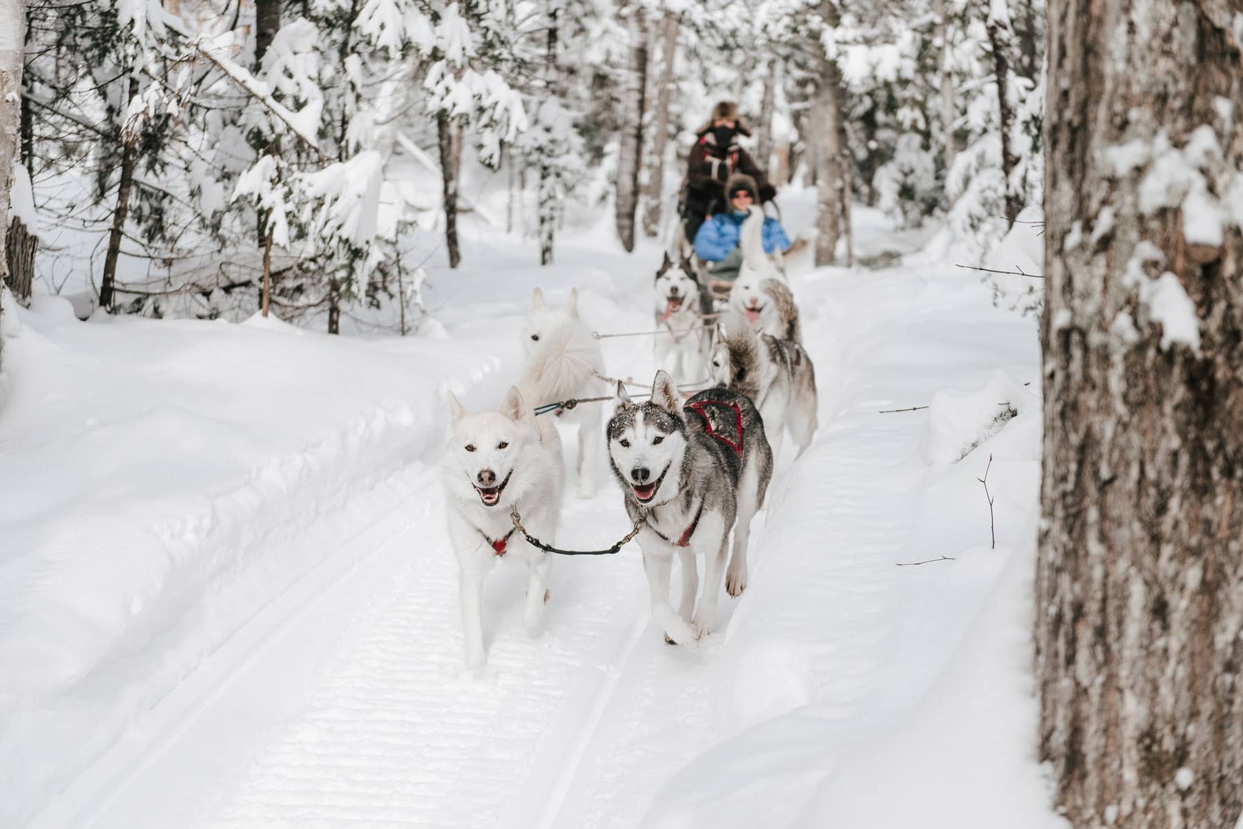 Kinadapt (Bonjour Nature - Lanaudière, Québec)