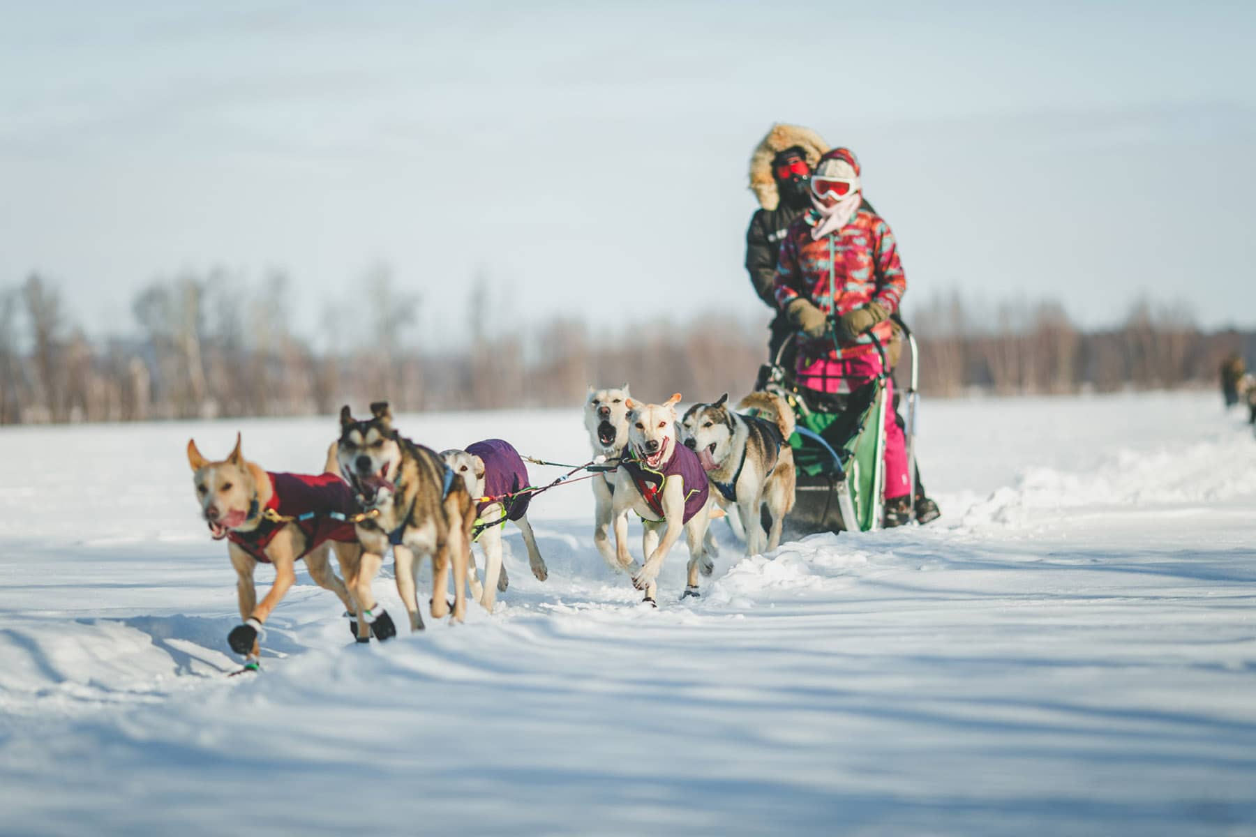 Les Aventures Liguoriennes (Bonjour Nature - Lanaudière, Québec)