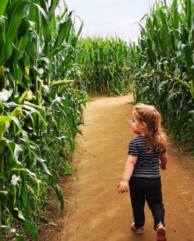 Grand Labyrinthe de Lanaudière - Ferme Guy Rivest