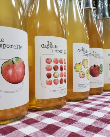 La Capsule Temporelle (Montérégie, Québec)