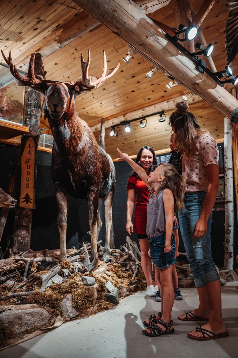 Parc des Chutes-de-la-Petite-Rivière-Bostonnais (Mauricie, Québec)