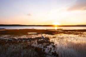 Espace NAPAGA (Anciennement Parc du Bourg de Pabos) - Gaspésie, Québec - Photo Céline Tan Hsuan