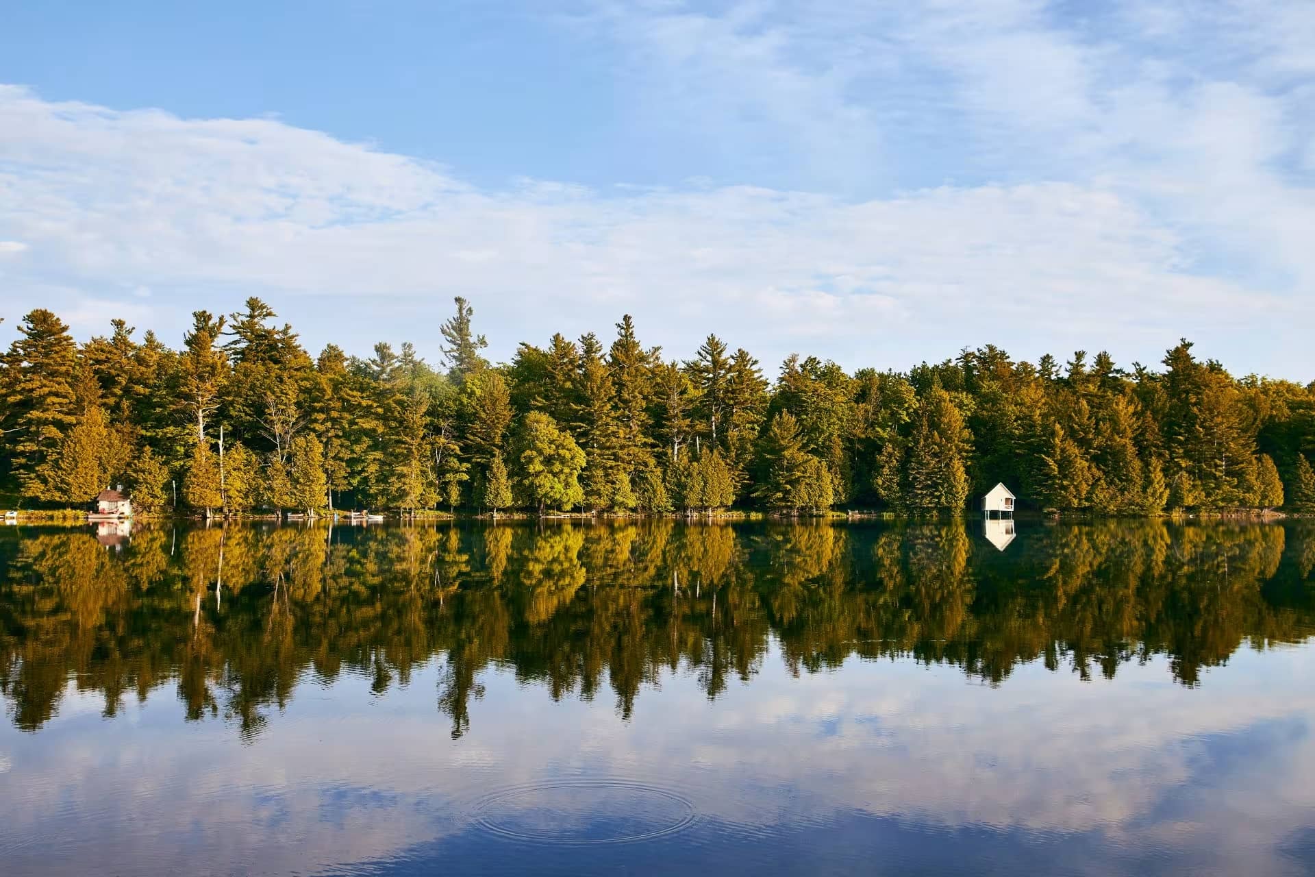 Parc de la Gatineau – Photo Myriam Baril-Tessier