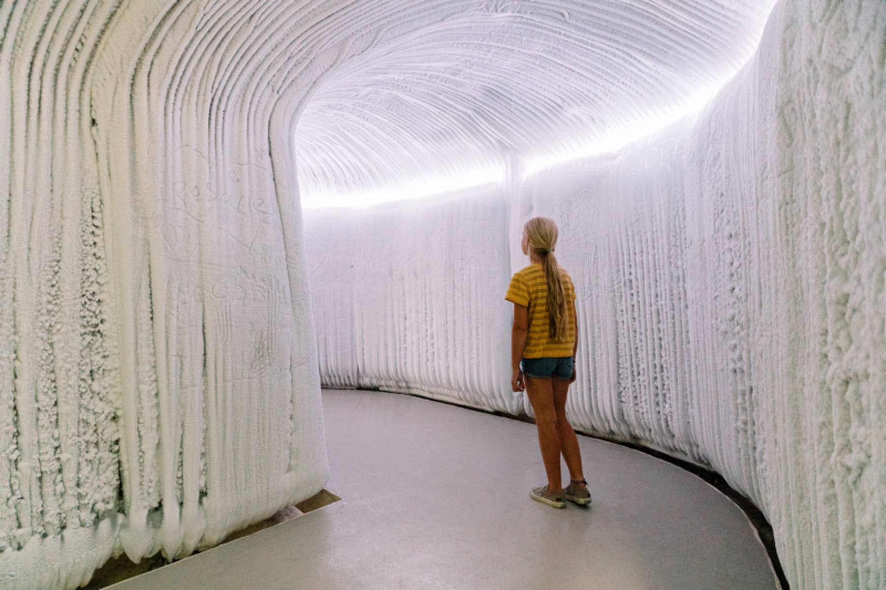 Le corridor de glace vers l’écosystème des Îles Subantarctique - Photo Mélanie Dusseault