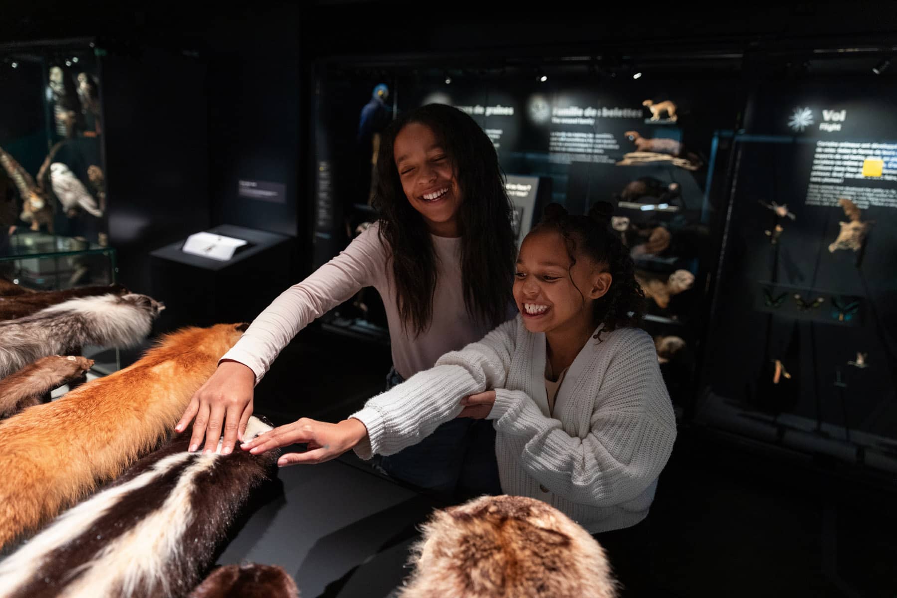 Exposition Une nature tissée serrée - Photo Mélanie Dusseault