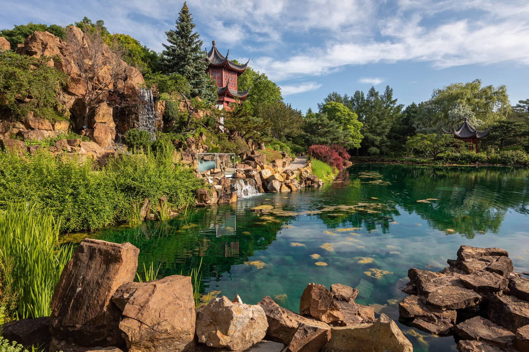 Jardin de Chine du Jardin botanique en été - Photo Claude Lafond