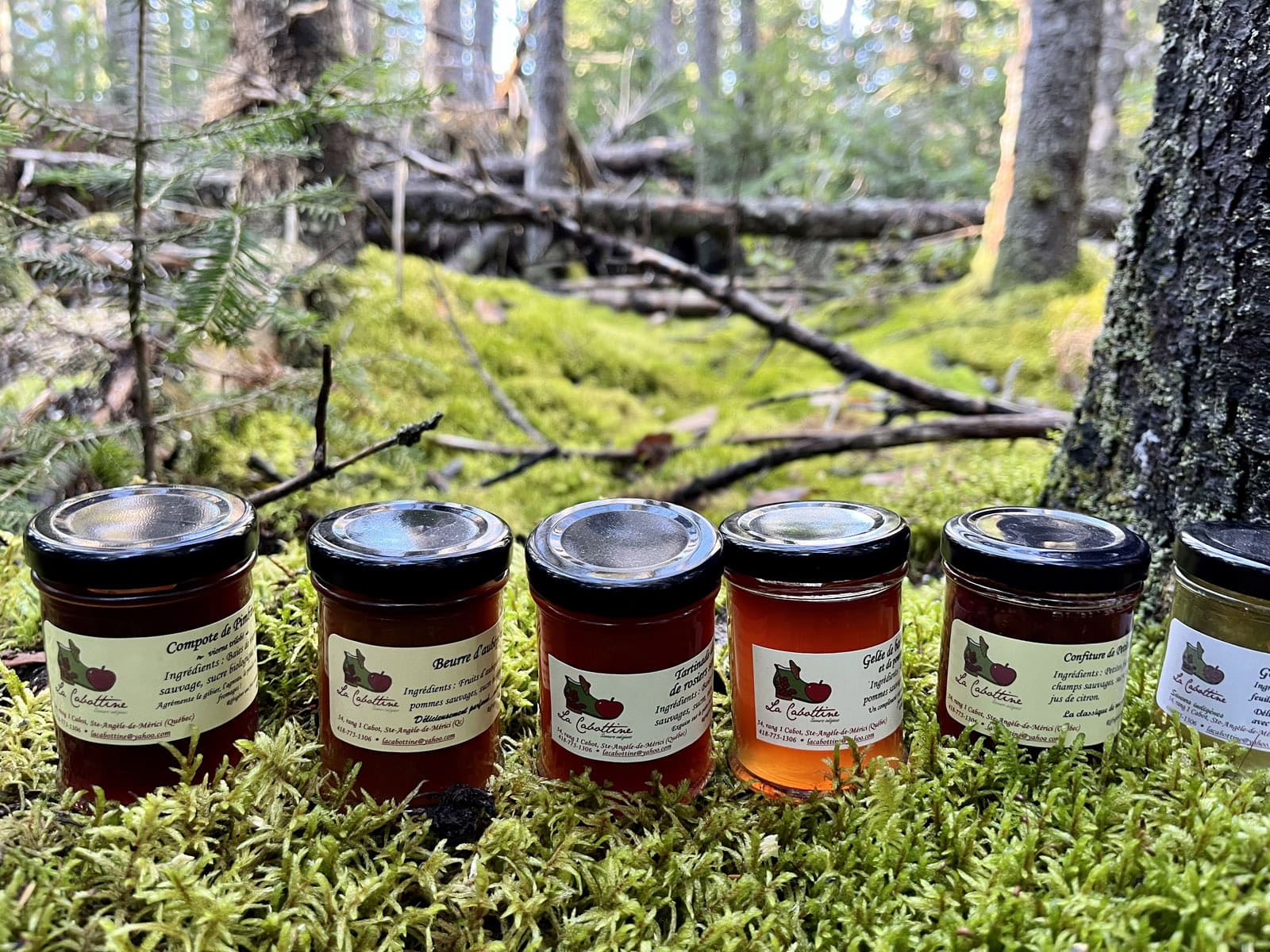 Produits - La Cabottine - Anne Pelouas