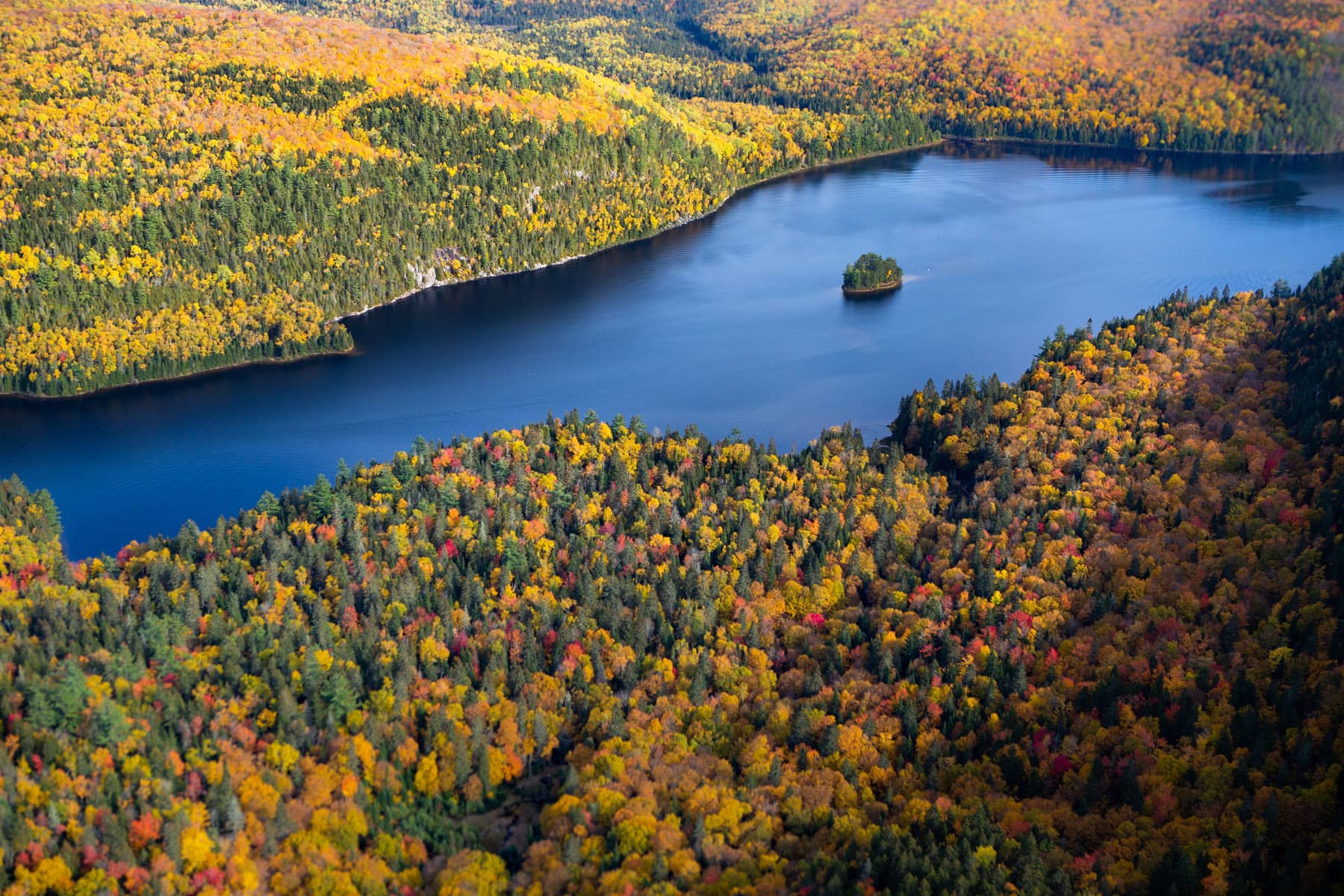 Parc national de la Mauricie - Île aux Pins - Photo Olivier Croteau