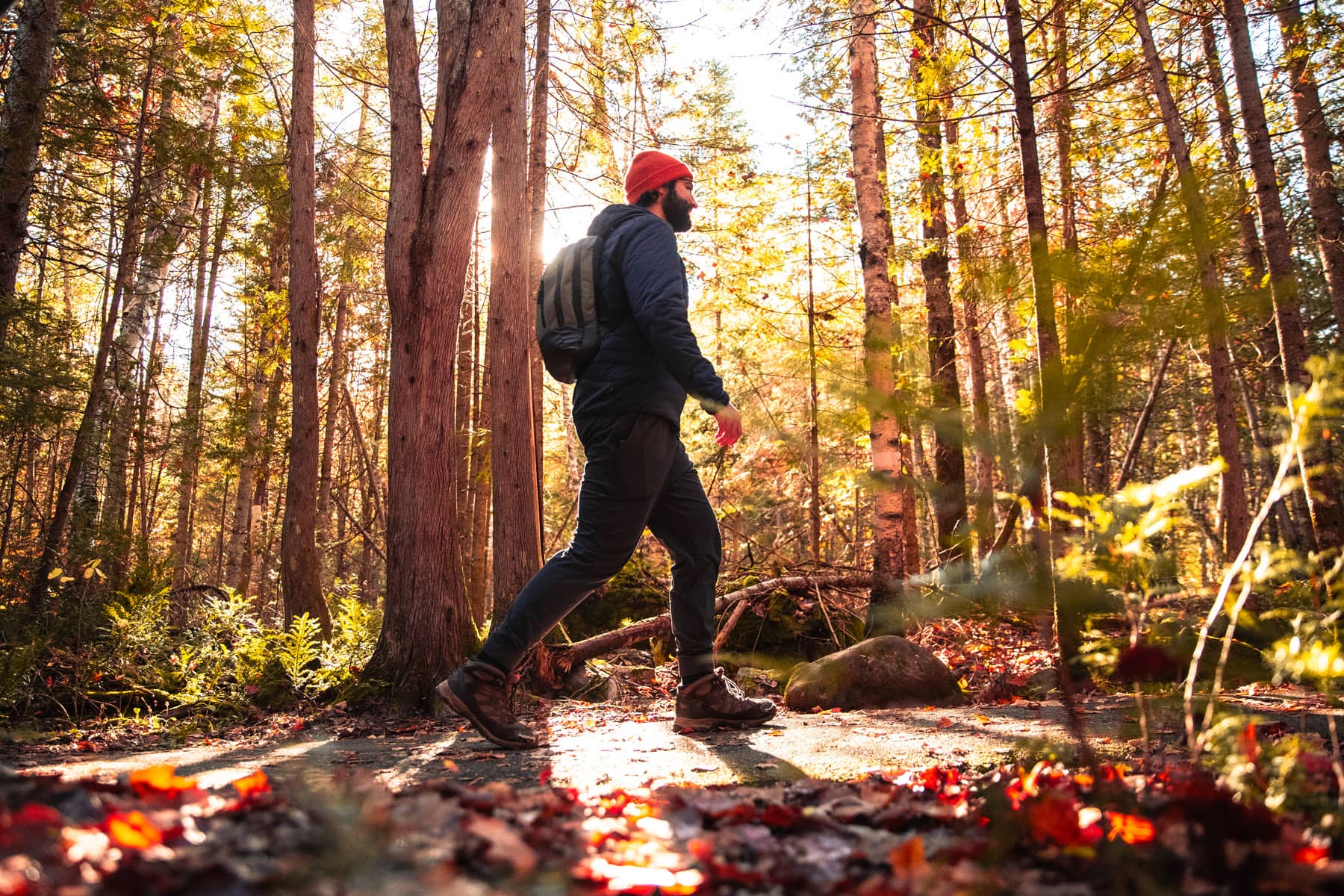 Parc national de la Mauricie - Photo Olivier Croteau