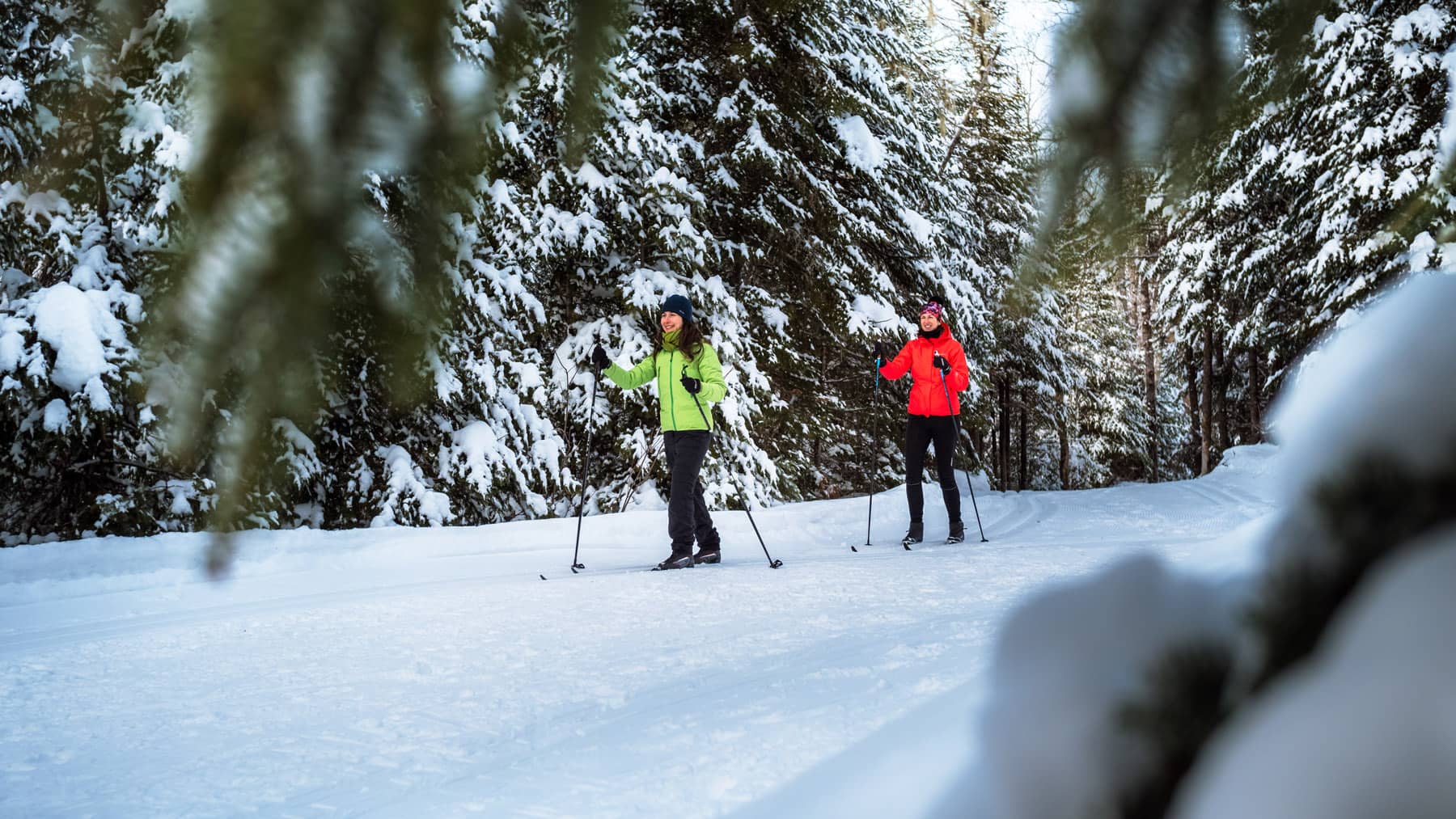 Parc national de la Mauricie - Photo Damien Lair