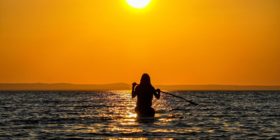 Planche à rame sur le Lac-Saint-Jean