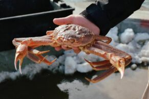 Chez Mathilde, bistrot gastronomique à Tadoussac