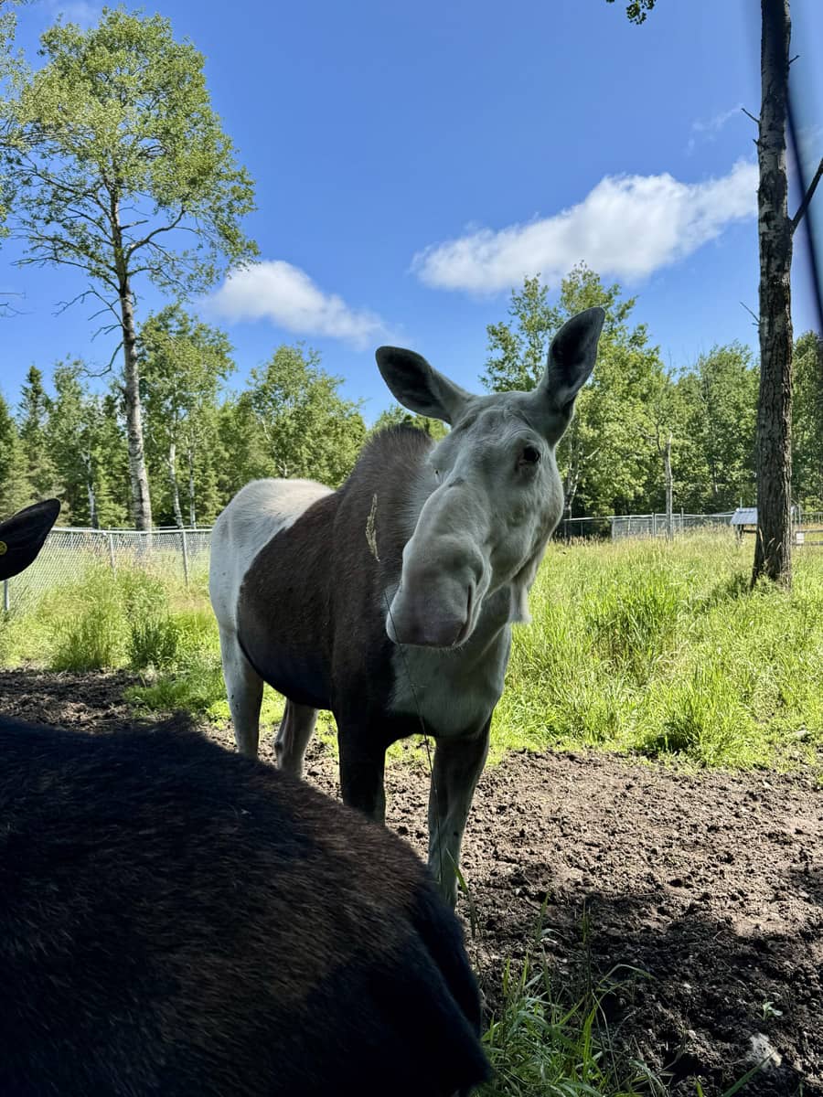 Refuge Pageau - Road trip au Québec sur la Route des Explorateurs - Photo Québec Le Mag'