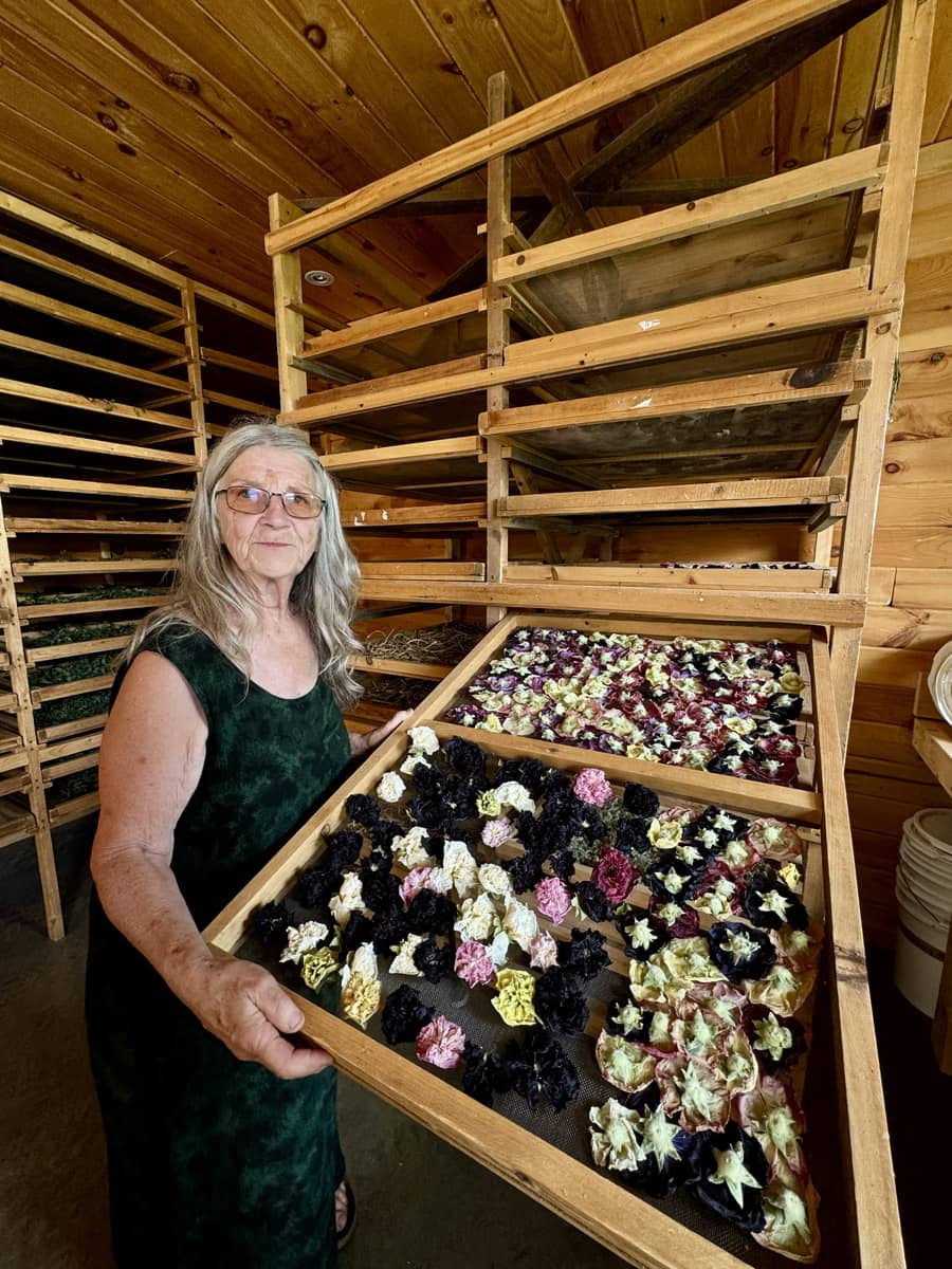 Herboristerie La Fée des Bois - Road trip au Québec sur la Route des Explorateurs - Photo Québec Le Mag'