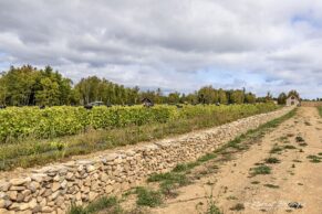 Ferme Bourdages Tradition, Gaspésie, Québec maritime - Photo Florent Bélanger