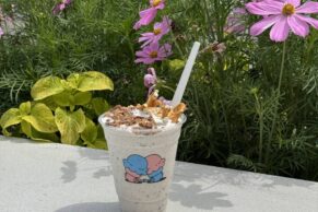 Bobino Bagel - Gatineau (Outaouais, Québec)